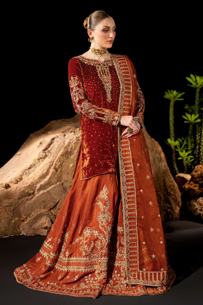 Standing pose of NAQSHI Amber formal dress highlighting embellished velvet shirt and traditional sharara