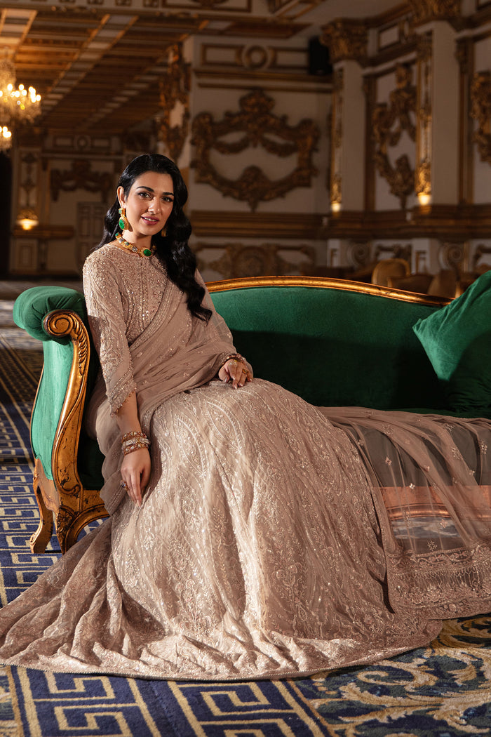 Naqshi Areeza net dupatta draped elegantly showing spray embroidery motifs, sequin accents and scalloped heavy border.