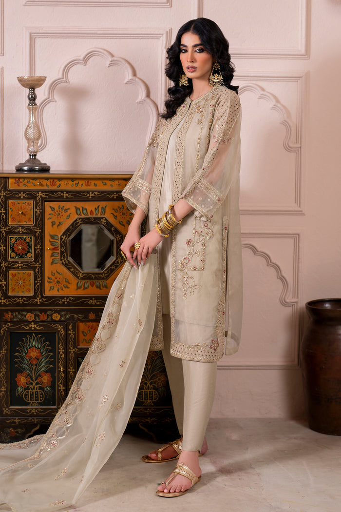 Detailed shot of Naqshi Arwa mid‑front gown panel featuring embroidered boring patterns and textured embroidery.