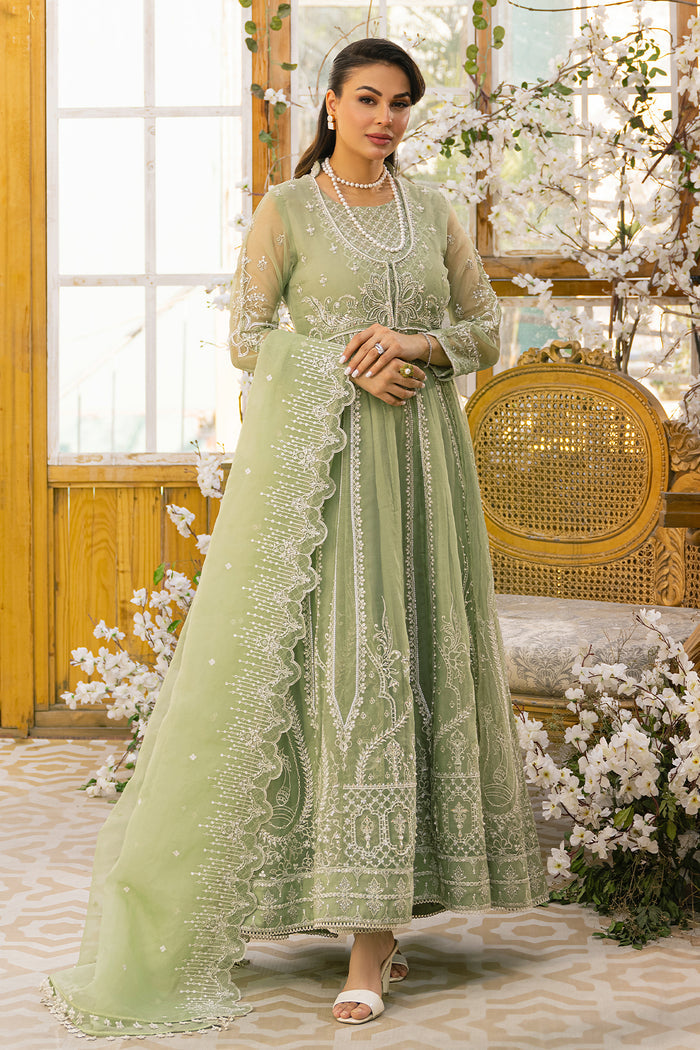 Ayla pistachio 3-piece formal outfit by NAQSHI, full front view with organza paneled frock, straight raw silk trousers and embroidered organza dupatta, ready to wear festive dress.