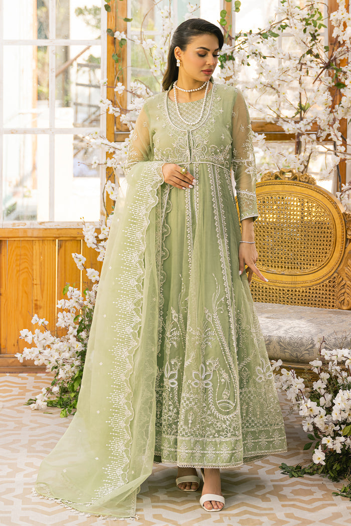 Full standing pose of Ayla outfit highlighting paneled frock silhouette and balanced borders, traditional ready to wear gathering outfit.