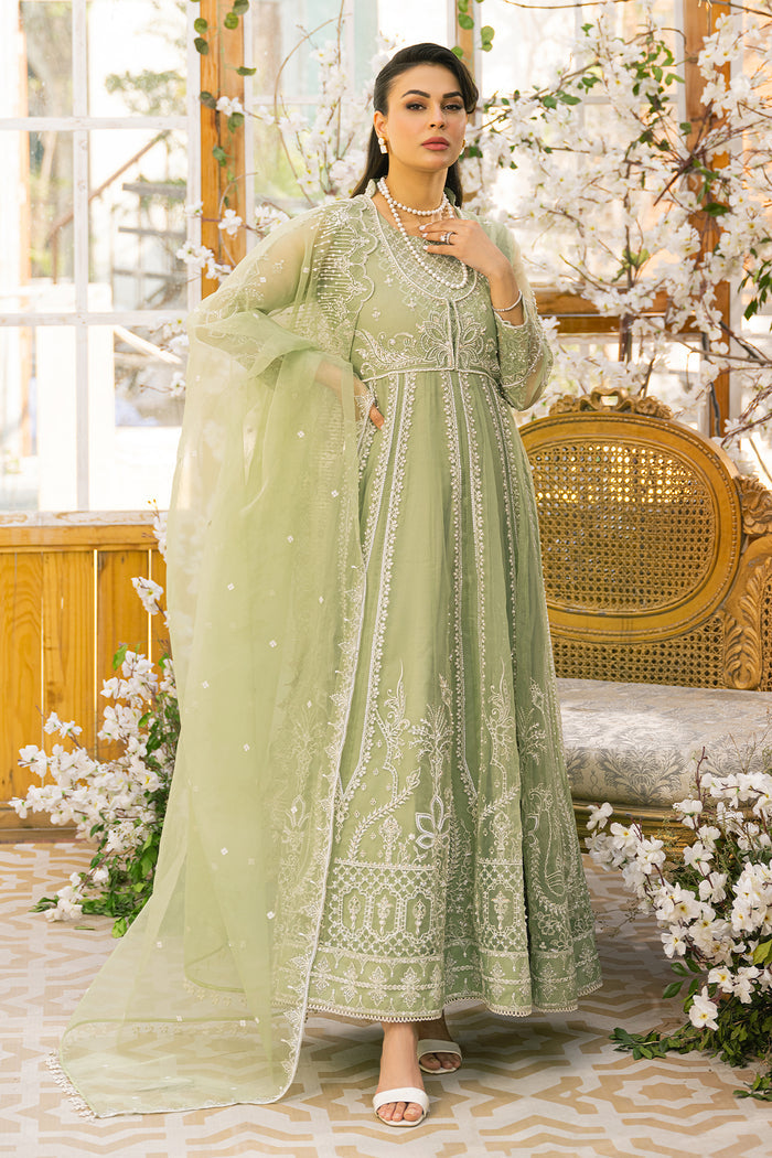 Front styling look of Ayla pistachio dress featuring flowing organza layers and neat straight trousers, formal ready made eastern wear.