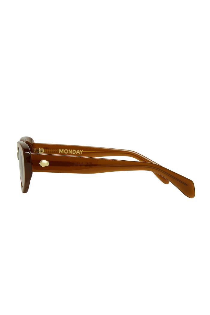 Brown acetate sunglasses, side view of temple with gold MONDAY logo
