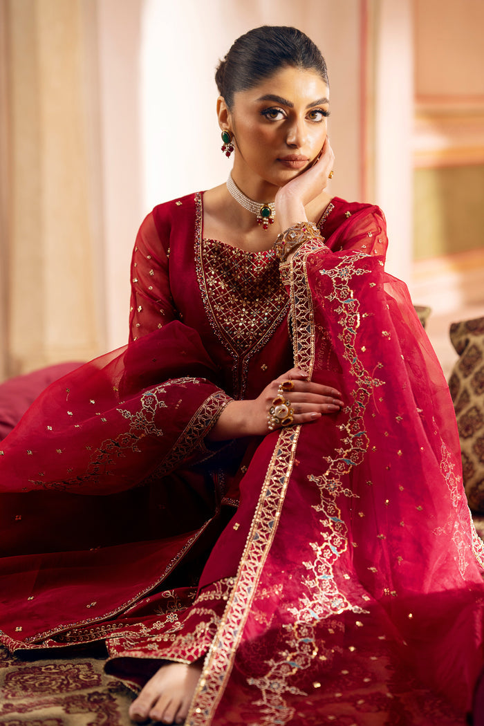Organza dupatta draped over arm, showing embroidered sequin border.