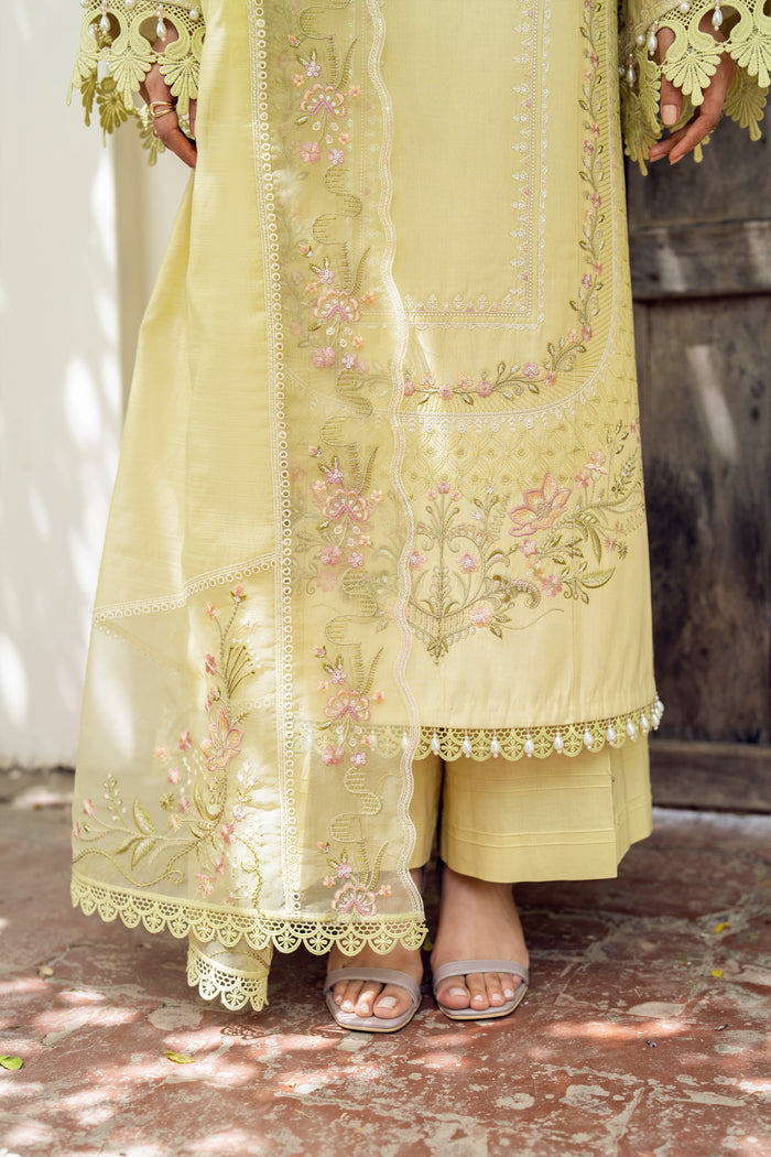 NAQSHI Gulshan premium cotton organza dupatta draped, showcasing lengthwise embroidered borders and organza borders attached with delicate lace
