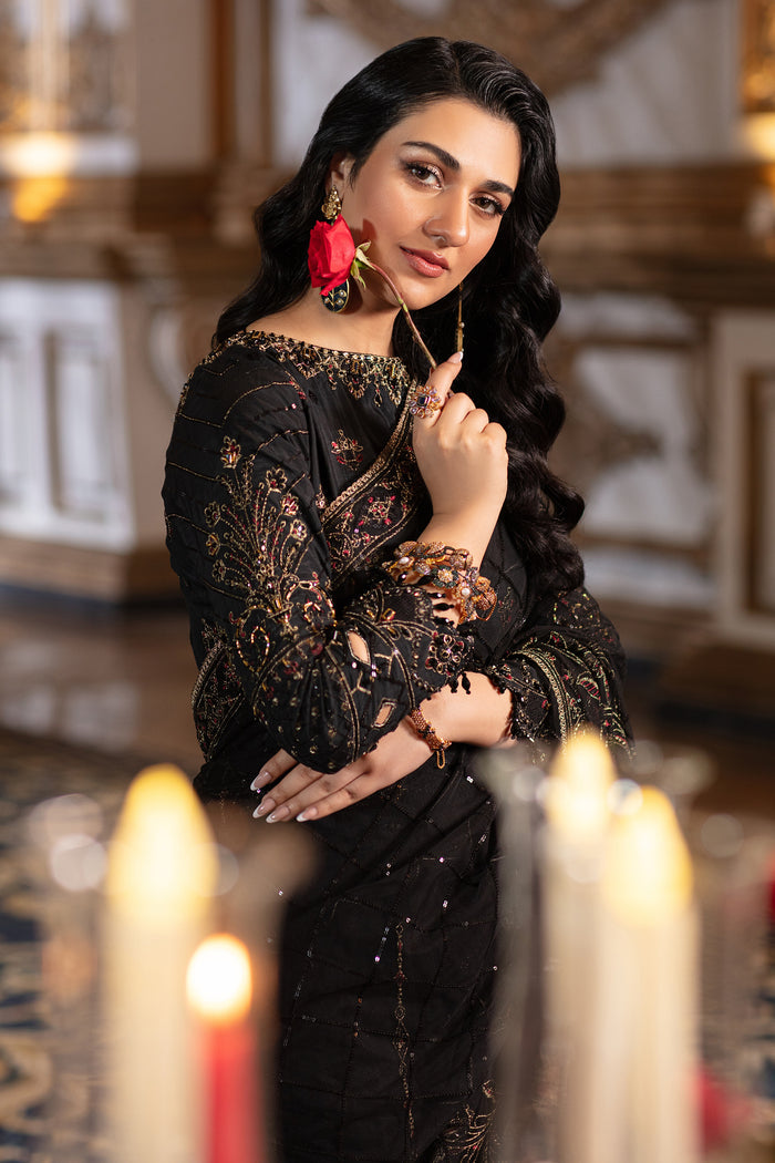 Naqshi Hainoor saree draped elegantly showing the embroidered border, sheen of net fabric and embroidered blouse silhouette.