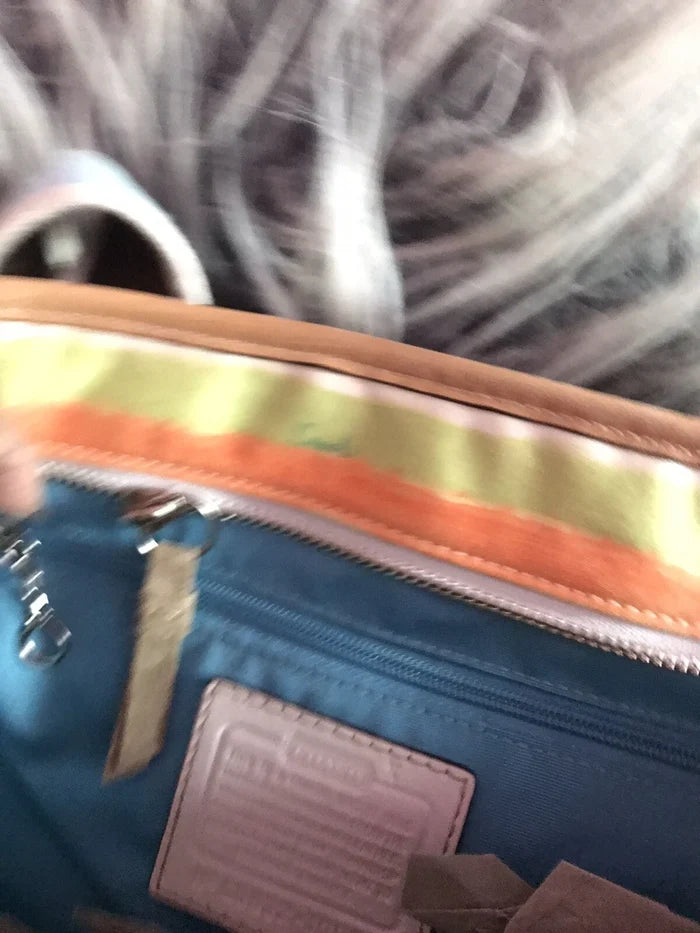 Coach Hampton Stripe Watercolor Satchel 10067 – Women's Tote Shoulder Handbag