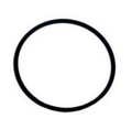 Inel, o-ring flansa garnitura capac pompa Pentair Swimmey R702208
