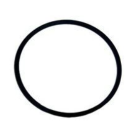 Inel, o-ring flansa garnitura capac pompa Pentair Swimmey R702208