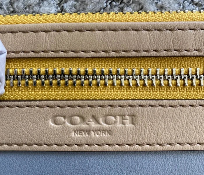 Coach Large Colorblock Zippy Wristlet – Authentic Designer Zip Clutch Wallet, NWT