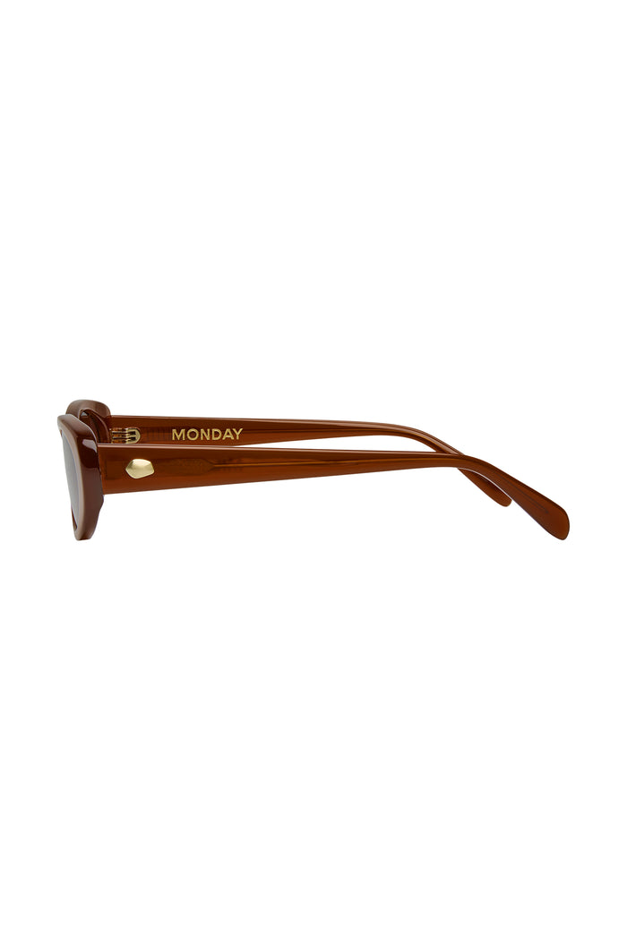 Brown acetate sunglasses, side profile showing MONDAY printed on the temple and a gold rivet near the hinge