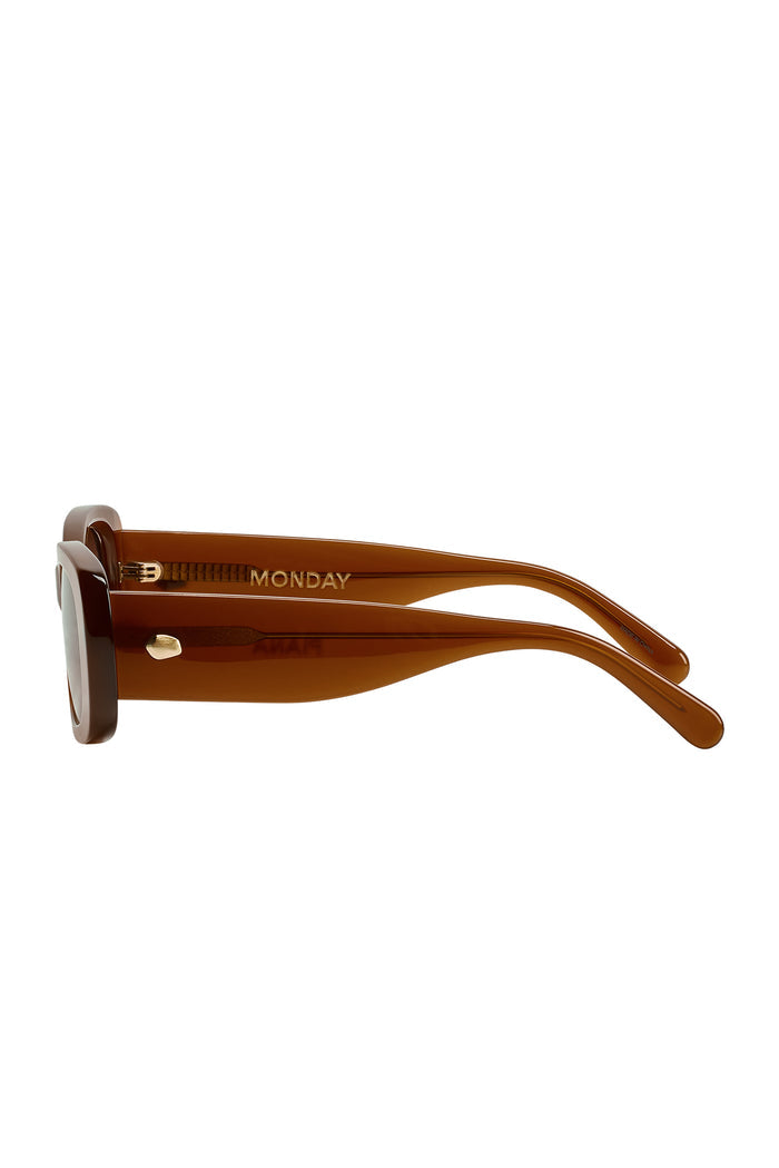 Brown acetate sunglasses, side view of temple with gold 'MONDAY' logo