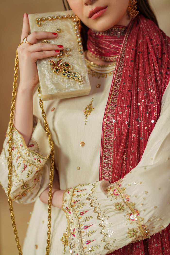Detailed close-up of NAQSHI Rabeel dress neckline and handwork embroidery on Indian raw silk showing high-quality finishing and formal design