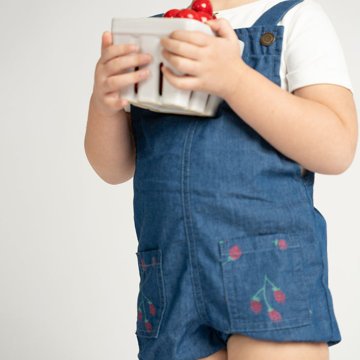 RASPBERRY POCKET ROMPER
