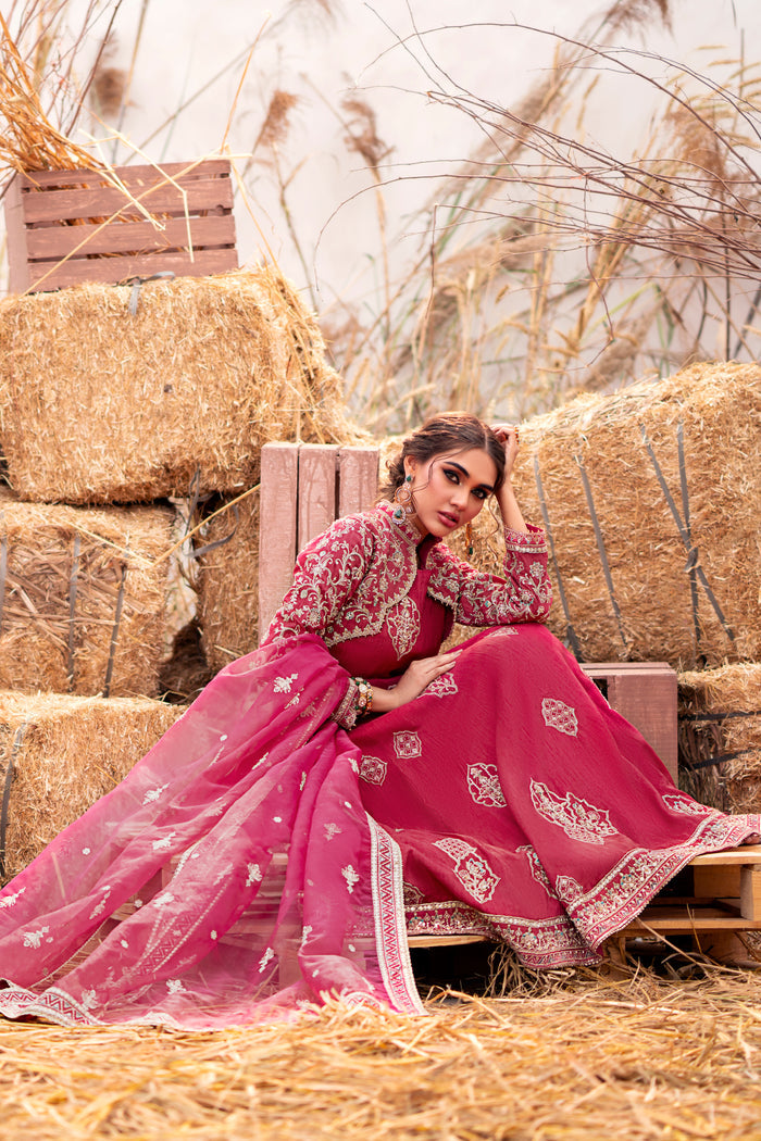 Rear view of Naqshi Samar open jacket highlighting spread floral-geometric embroidery and lace border.