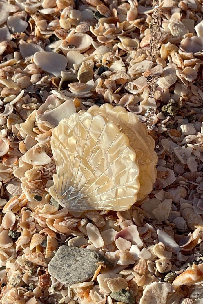 Close-up of Sanibel Shell Hair Clip in Ivory Swirl showcasing glossy pearlescent scallop shape on a bed of broken shells