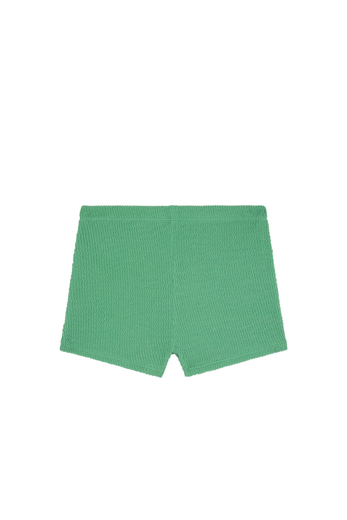 Front view of kids’ Santa Cruz shorts in pond green showing crinkle texture and elastic waistband on white background