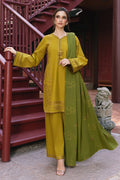 Woman in a green and mustard traditional outfit standing on a staircase.