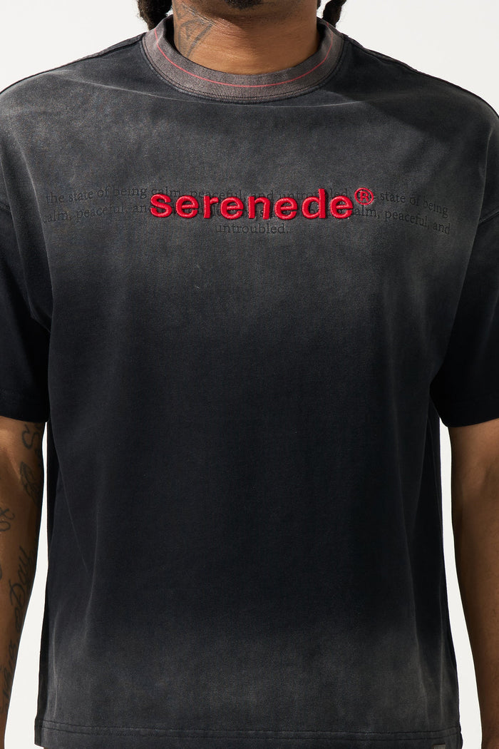 SKYLETTER Granite T-Shirt
