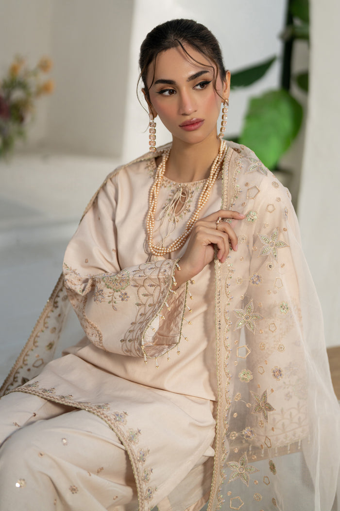 Close-up of NAQSHI Soni sleeve detailing embroidery and lace border on beige organza