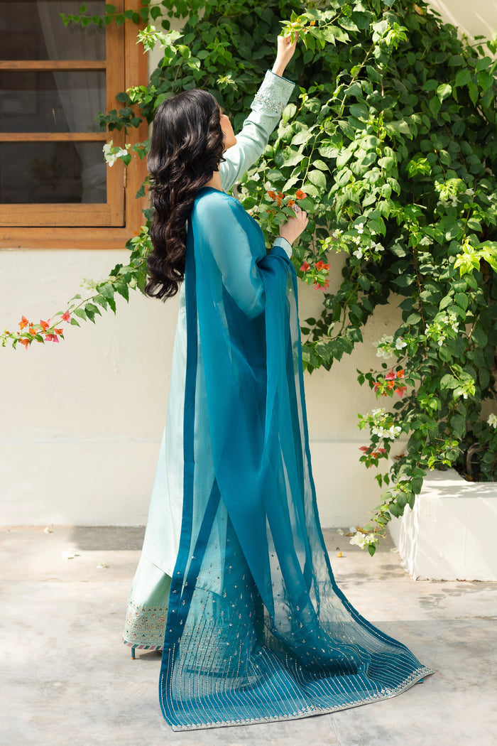 NAQSHI Tania teal organza dupatta draped to display machine‑embroidered borders, sequin spray along pallu edges and textural line embroidery.