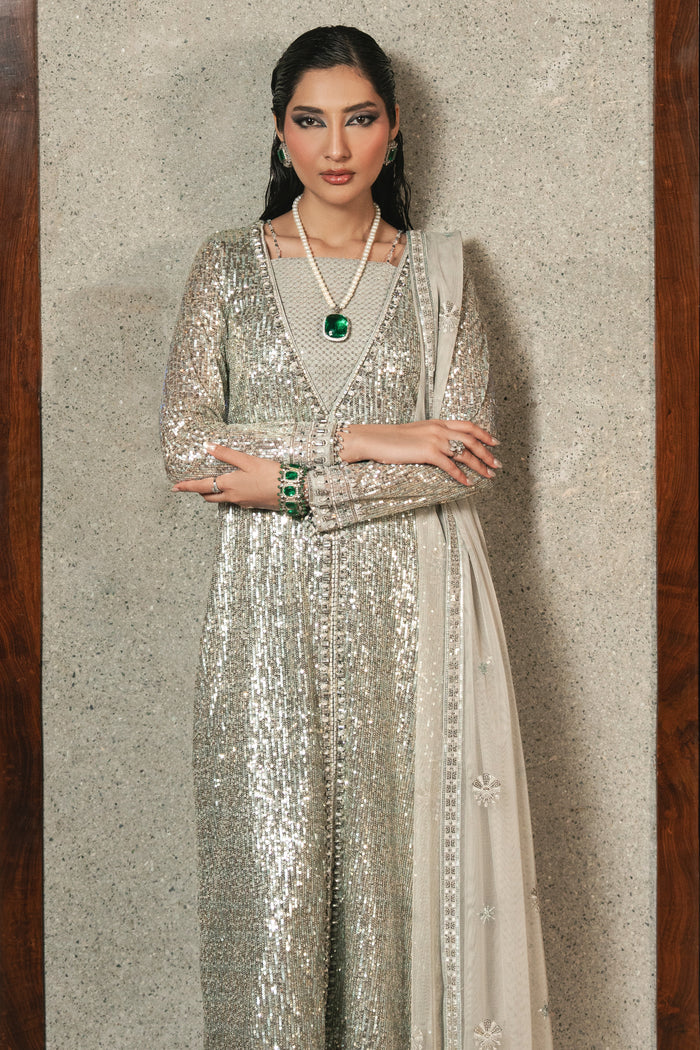 Front view of NAQSHI Urmain formal outfit in grey net, featuring deep V stylized neckline with adda work, fitted sleeves, and embroidered net dupatta.