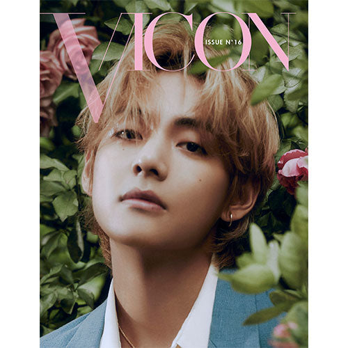 V VICON DICON Issue N 16 - B-type image