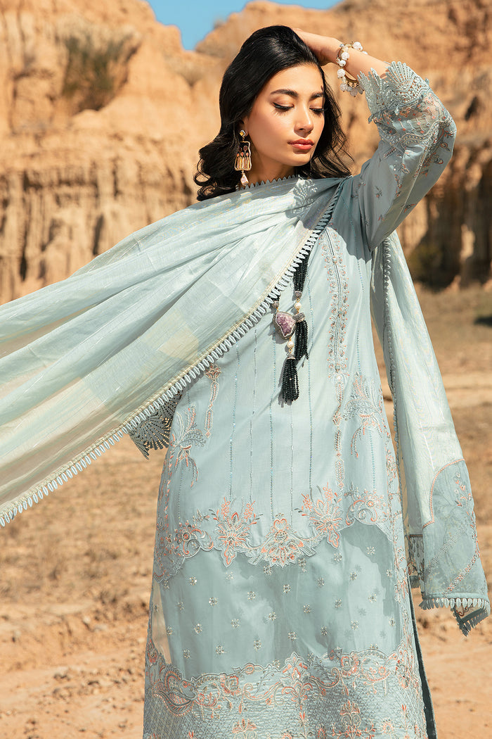 Flowing dupatta view showing line cotton organza fabric and lace border with embroidered shirt